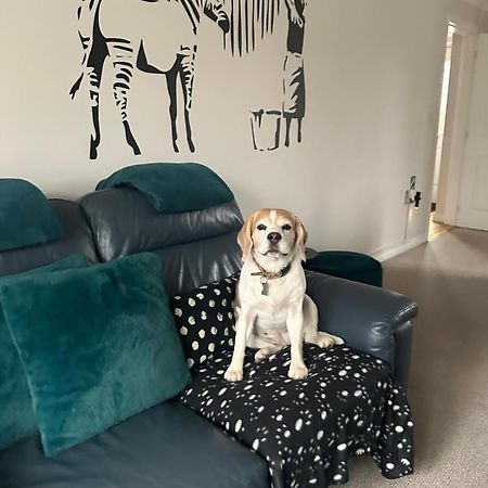 Hereford - Finch House - Modern 4 Bedroom House Located In South Hereford, Dog Friendly With Nearby Countryside, Pool Table, Sleeps Up To 10 Guests - Hosted By Rentmyhouse المظهر الخارجي الصورة