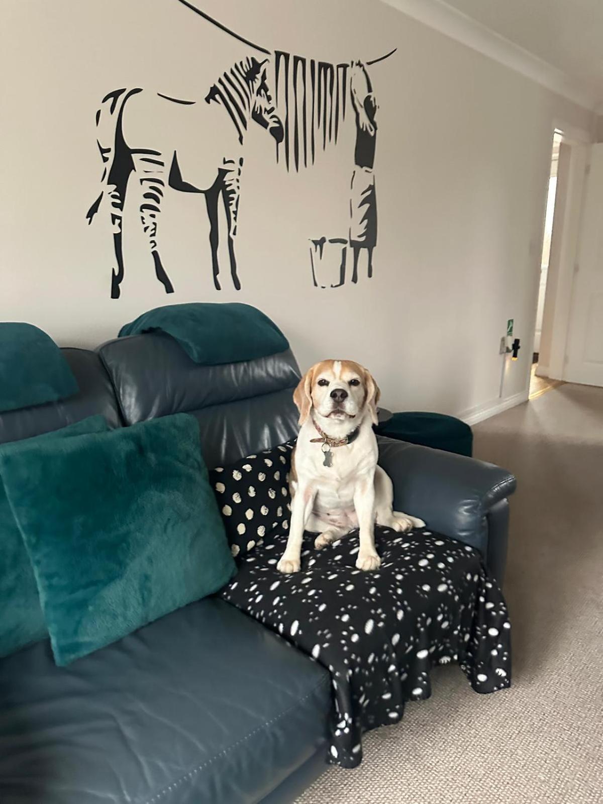 Hereford - Finch House - Modern 4 Bedroom House Located In South Hereford, Dog Friendly With Nearby Countryside, Pool Table, Sleeps Up To 10 Guests - Hosted By Rentmyhouse المظهر الخارجي الصورة