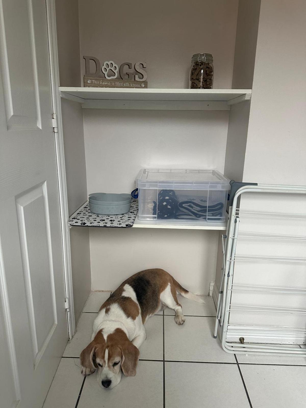 Hereford - Finch House - Modern 4 Bedroom House Located In South Hereford, Dog Friendly With Nearby Countryside, Pool Table, Sleeps Up To 10 Guests - Hosted By Rentmyhouse المظهر الخارجي الصورة